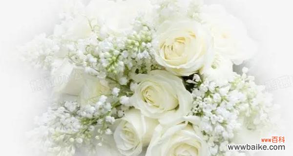 以9朵白玫瑰传递的美丽寓意 白玫瑰花语之纯洁爱情