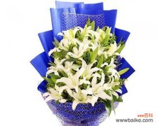 寓意深远，传递着爱的纯洁与祝福 白色百合的花语