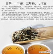 揭秘白茶花的神秘花语 白茶花的花语与寓意