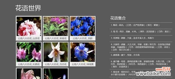 无尽夏的花语和寓意花语是什么意思?如何理解无尽夏的深层含义?