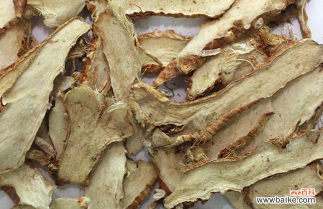 中药材盐知母的功效与作用