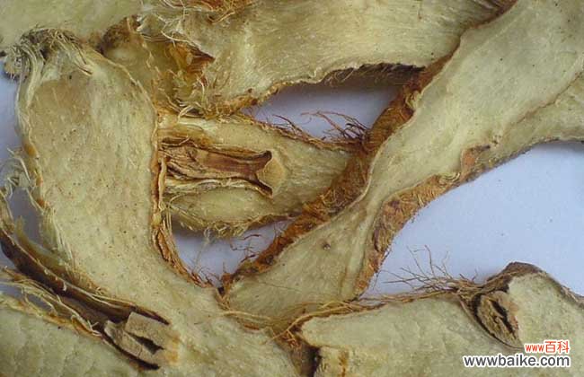 中药材盐知母的功效与作用