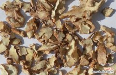 中药材盐知母的功效与作用