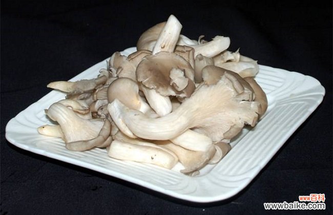 平菇怎么种植？平菇最新栽培技术