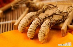 中药材金蝉花的功效与作用