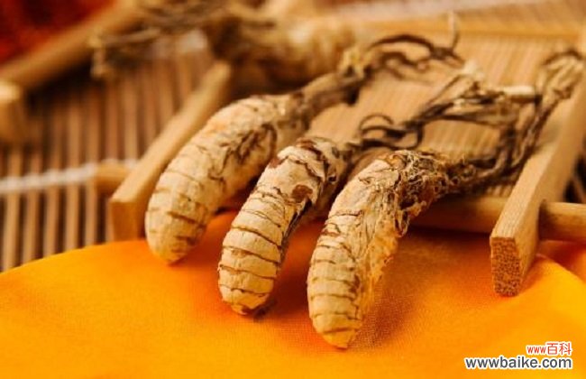 中药材金蝉花的功效与作用