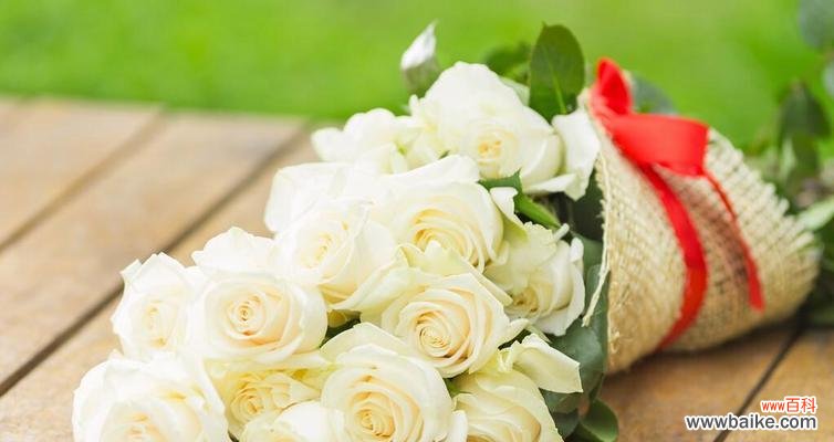 探寻白玫瑰背后的爱情象征 白玫瑰的爱情寓意