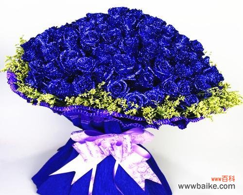 婉约之美难以言表,蓝色传递着神秘而深刻的内涵 蓝色玫瑰花语之意义深远