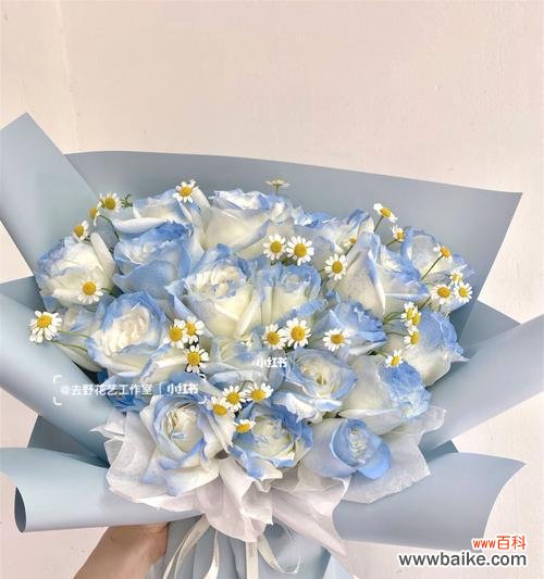 传达爱意和坚韧精神的花卉——碎冰蓝玫瑰 碎冰蓝玫瑰的花语和寓意