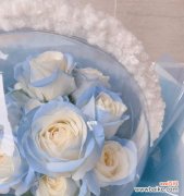 传达爱意和坚韧精神的花卉——碎冰蓝玫瑰 碎冰蓝玫瑰的花语和寓意