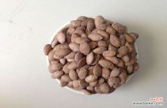 瓜蒌子的功效与作用