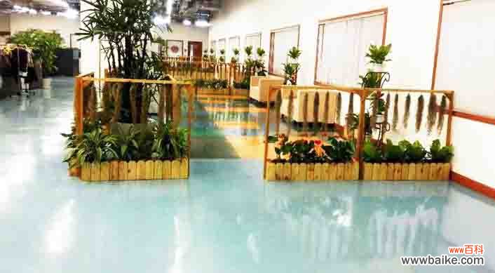 上海写字楼绿植租摆方案