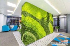 公司绿植墙的特点：影响绿植墙的成本的因素