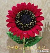 探索太阳花的象征意义和人们对其寄予的祝福 红色太阳花的寓意与花语