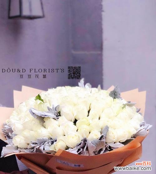 白玫瑰适合送给哪些人,如何表达感情 白玫瑰花语与赠送对象