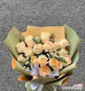 探究香槟玫瑰所代表的含义及象征意义 解读香槟玫瑰的花语