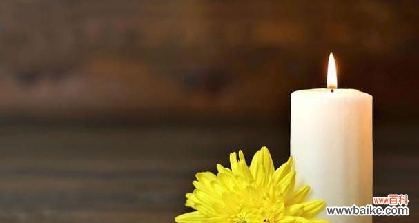 用花语诉说哀思 哀思之花