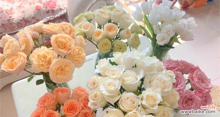 掌握这些技巧，让你的鲜切花更加美丽耐久 鲜切花的种类与养护