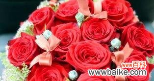 探究大红色玫瑰的象征和内涵 大红色玫瑰的花语