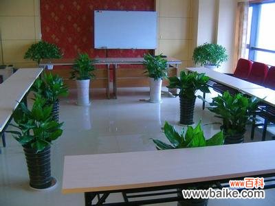 四川万嘉众恒园林绿化