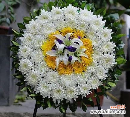 探索以表示悼念的花的花语及象征意义 悼念之花