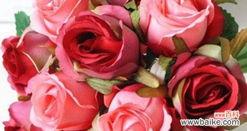 赋予感恩以花语 感激之花——以鲜花传递感谢的力量