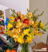 香雪兰花的寓意是什么？如何正确理解香雪兰花的象征意义？