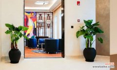 上海异荟园艺：专门从事绿植租赁、展会植物租赁