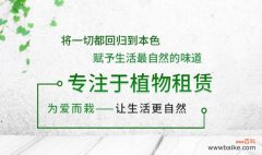上海欢慧园林：专注植物租赁