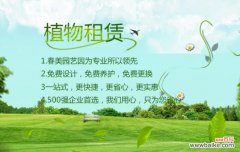 杭州春美园艺：杭州办公室绿化