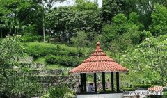 杭州绿尚园艺：专注于植物租摆和销售