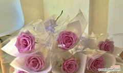 小球玫瑰花语有哪些含义？