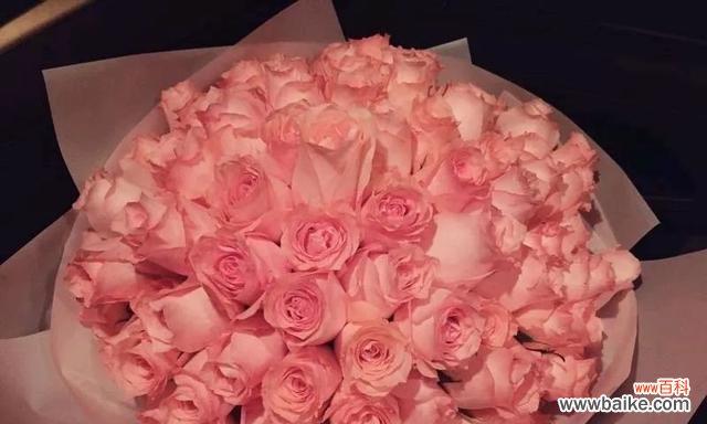 浪漫的花语语言,传递爱情的真谛 戴安娜玫瑰的花语——爱情的象征