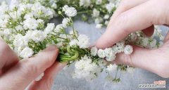 一整束满天星花语是什么意思？如何表达爱意？