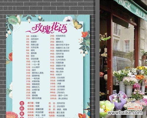 影星玫瑰代表什么意思？影星玫瑰的花语有哪些？