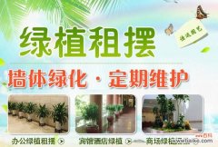 北京佳运园艺：提供盆景租摆服务