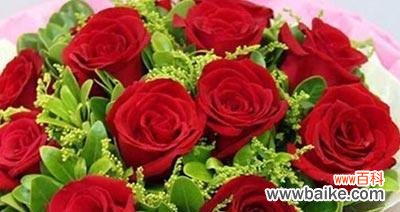 探究玫瑰花的花语和象征意义 玫瑰花几支代表的含义