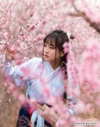 解析九月桃花刀的历史渊源 九月桃花刀