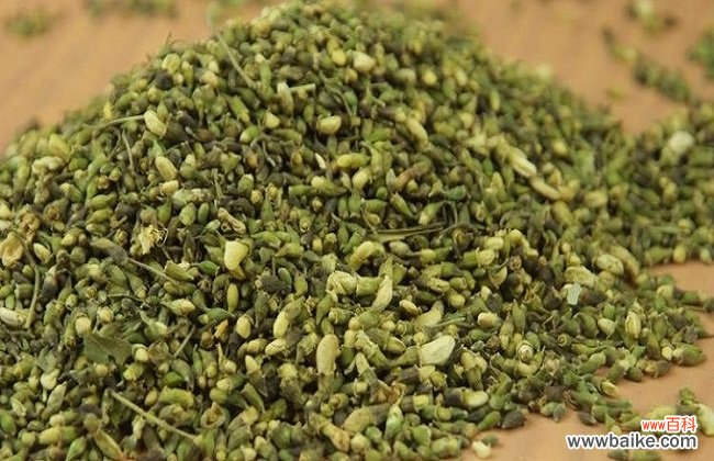 槐米的功效与副作用