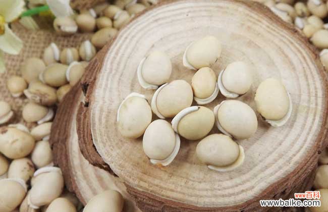 白扁豆的功效与作用及食用方法