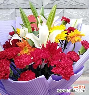 表达爱与美的康乃馨花 康乃馨花的象征意义