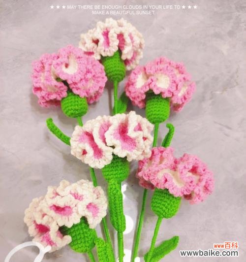 康乃馨的意义及历史渊源 康乃馨花的含义与象征