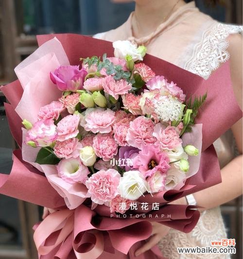 康乃馨的寓意与意义及其历史传承 康乃馨——爱、美与希望的象征