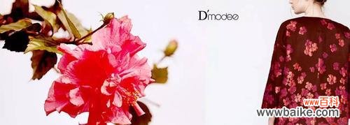 朱槿牡丹花语是什么？如何正确解读朱槿牡丹的花语含义？