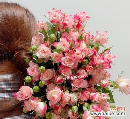 云南小玫瑰特点是什么意思？如何鉴别云南小玫瑰的独特之处？