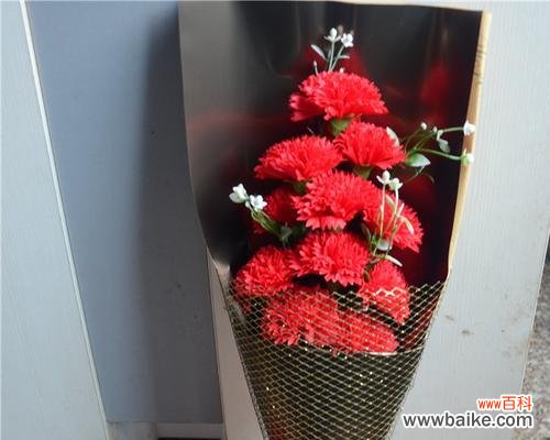 揭开康乃馨花语的真相，读懂TA对你的爱意 男朋友送康乃馨，暗藏着什么心意？