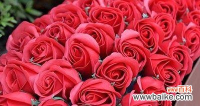 探索玫瑰花三朵代表的含义和故事，了解玫瑰花的神话和传说 玫瑰花三朵的寓意与传说