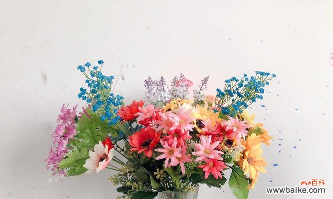 探究小雏菊颜色背后的花语意义 不同颜色小雏菊的花语