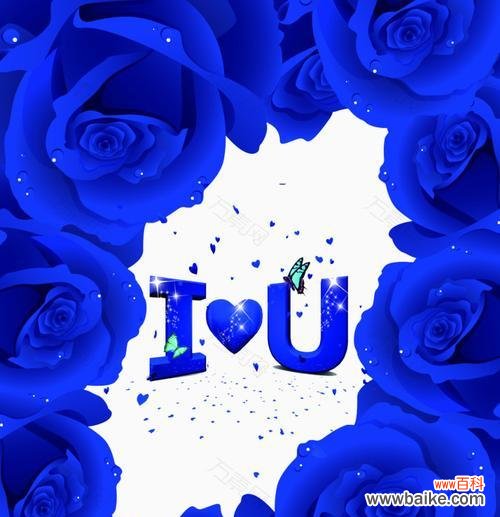 探究蓝色玫瑰花所代表的情感和象征 蓝色玫瑰花的含义