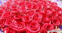 了解玫瑰花语，送花更得心应手 玫瑰花语大全——多少朵代表什么？